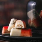 「名探偵コナン」 APTX-4869風チョコレート 9個入 10