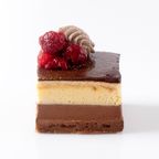   【100個限定】  クリスマスオペラケーキ クリスマスケーキ 2025 3