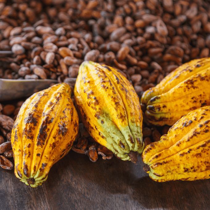 希少なタイ産カカオを使用 3