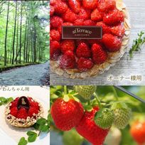 【セット商品】ママとお揃い軽井沢高原完熟いちごタルト（※送料込）