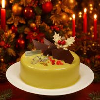 ピスタチオの香ばしく旨みあふれる魅力一杯の白金プレミアムミロワールピスターシュ クリスマススタイル  クリスマス2026