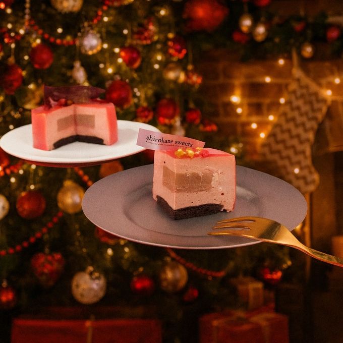 白金ミロワール（フランボワーズ）3号 クリスマススタイル  クリスマス2026 3