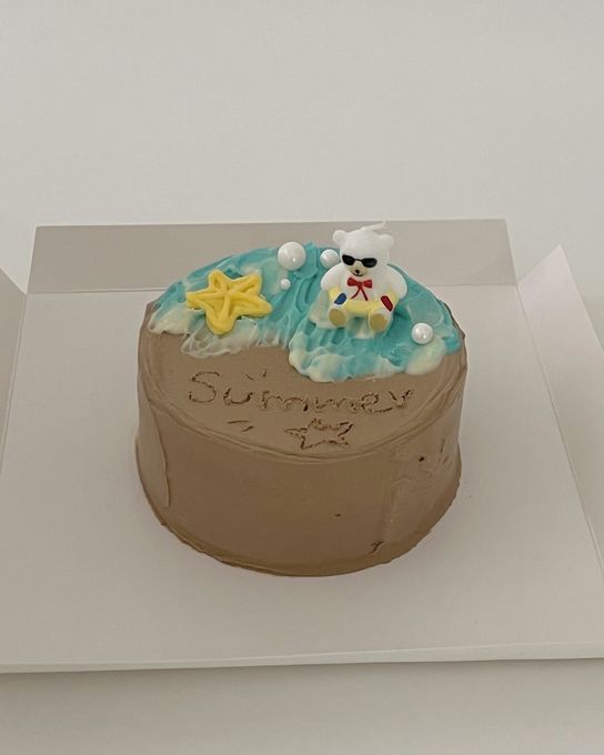 夏が来た！ サマービーチケーキ センイルケーキ 2
