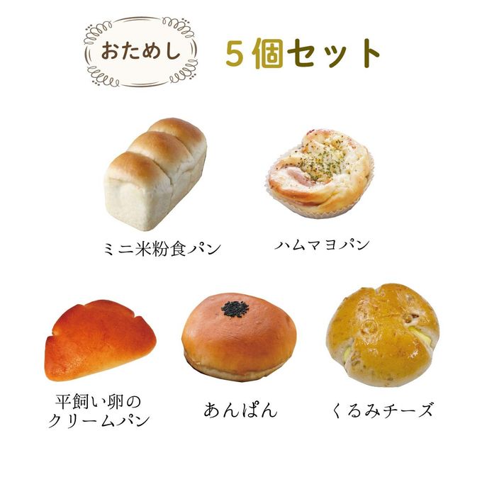 迷ったらコレ！まずはお試し！ 手作り米粉パン 【冷凍米粉パン】 お試し5個セット 2