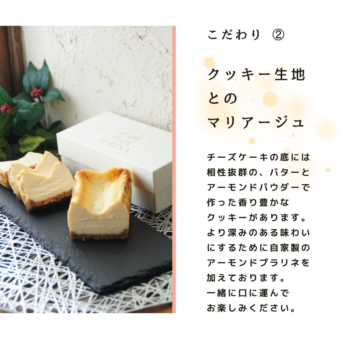 とげとげチーズページ 富士の口どけ | 株式会社保延商会