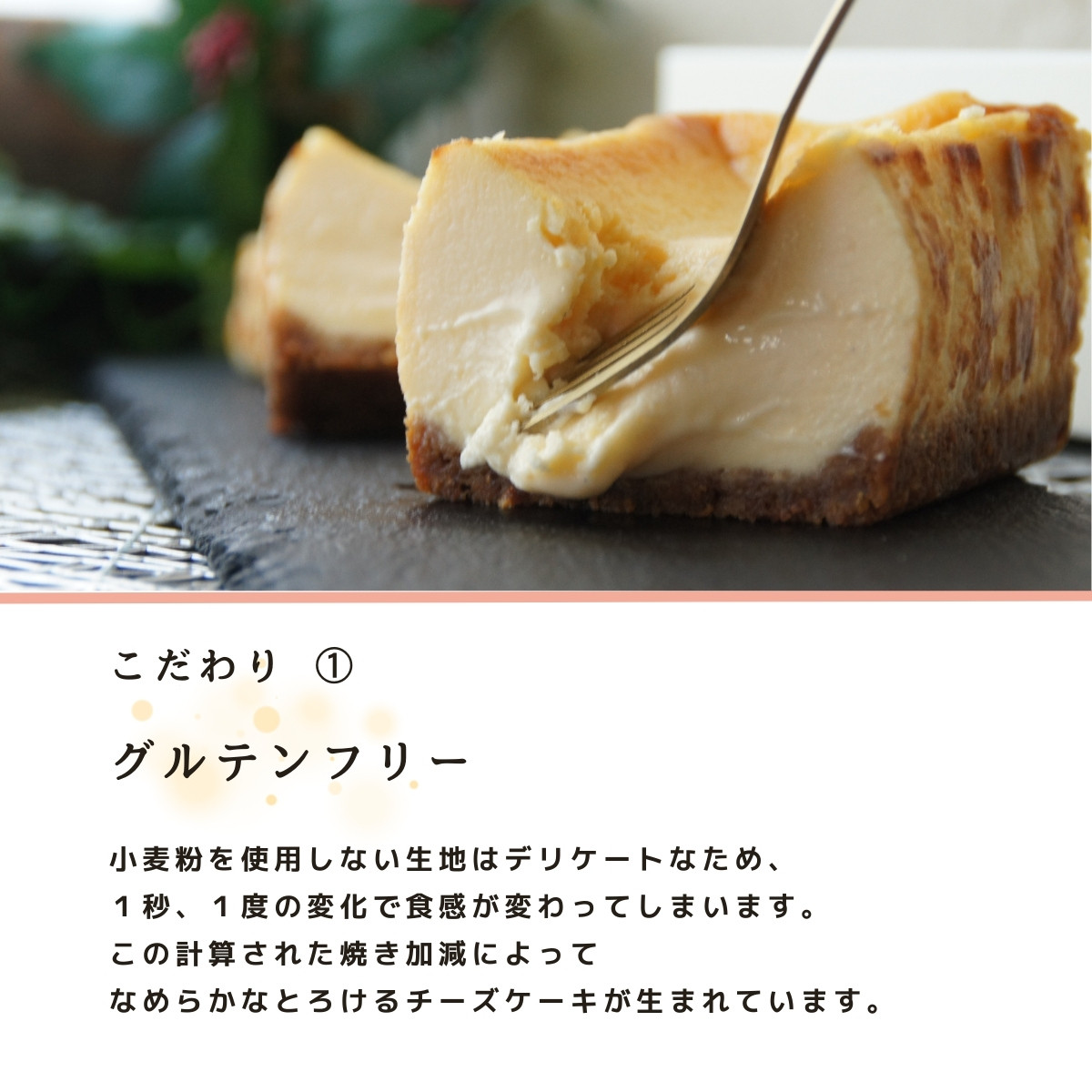 とろける口どけ 生チーズケーキ 【 お中元 夏ギフト 】 バスクチーズ