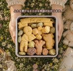 クッキー缶｜大切なあの人へ想いを込めて贈る特別な花束｜誕生日・記念日・ありがとう・お祝いに｜きみと季節のとなりに「花束」 2