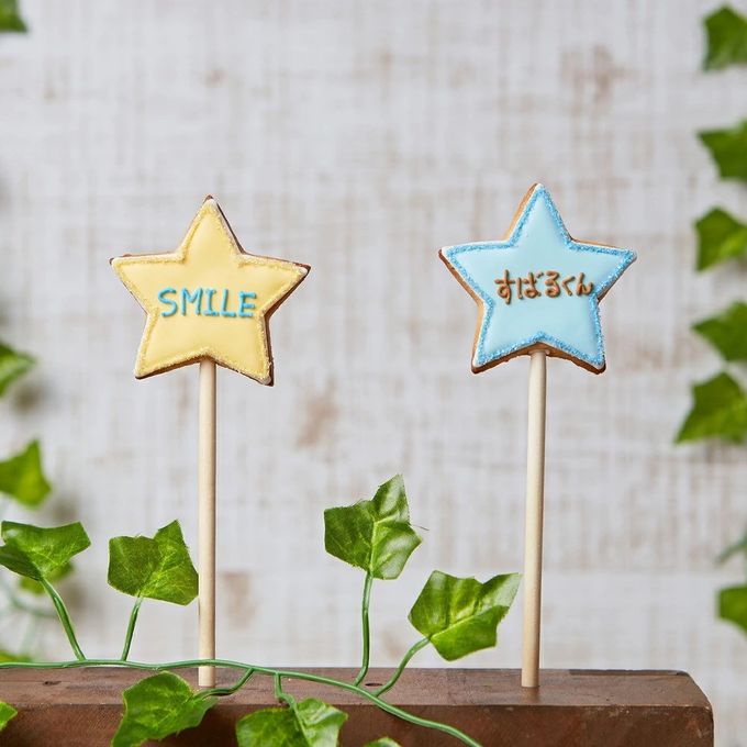 名入れ可【星ポップ】〈5文字〉棒付き プロップス アイシングクッキー クッキー プチギフト かわいい お菓子 個包装 2