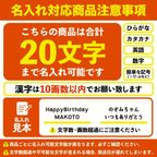 【イルカプレート】〈20文字〉 アイシングクッキー オーダー 誕生日 プレート ケーキ 飾り 名入れ クッキー 名前入りクッキー 誕生日プレート メッセージ お菓子 バースデープレート ハッピーバースデー メッセージ入りお菓子 誕生日ケーキ アイシング 可愛いクッキー ギフト 2