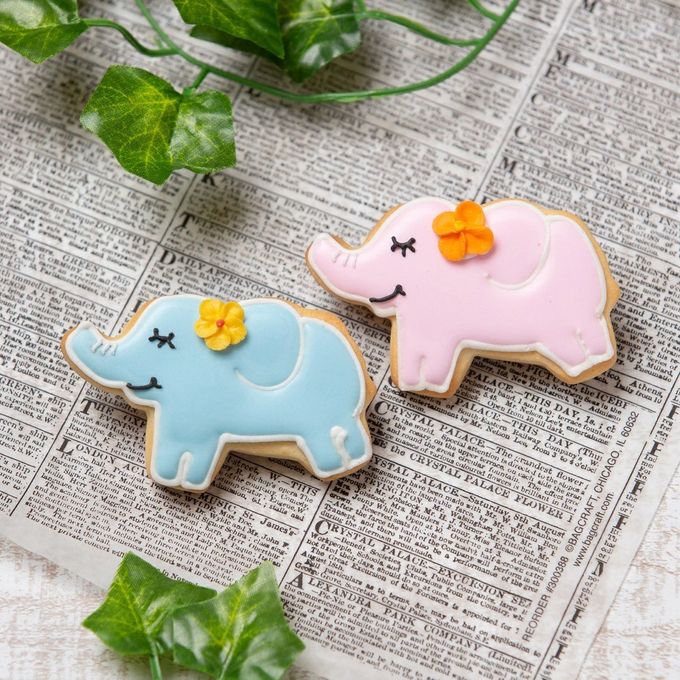 【ゾウ】アイシングクッキー クッキー プチギフト デコレーション かわいい お菓子 個包装 動物 どうぶつ 生き物 ぞう 象 2