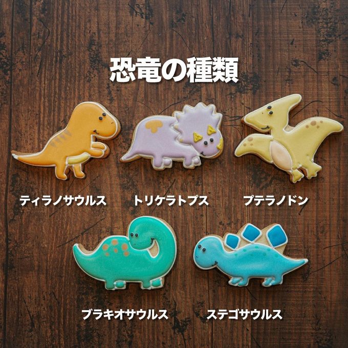選べる【B：恐竜バースデーセット 火山プレートver.】アイシングクッキー クッキー 恐竜 火山 デコレーション 誕生日】アイシングクッキー クッキー 恐竜 肉 卵 ケーキデコレーション 男の子 誕生日 ケーキトッピング ケーキデコレーション かわいい お菓子 3