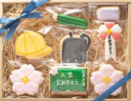 名入れ可【入学ギフトBOY大】アイシングクッキー ギフトボックス クッキー ケーキデコレーション バースデーケーキ 誕生日 ケーキトッピング ケーキデコレーション かわいい お菓子 女の子 男の子  2