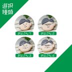 【お父さん】アイシングクッキー クッキー プチギフト デコレーション かわいい お菓子 個包装 アイシングクッキーleap 退職 お礼 父の日 老の日 2