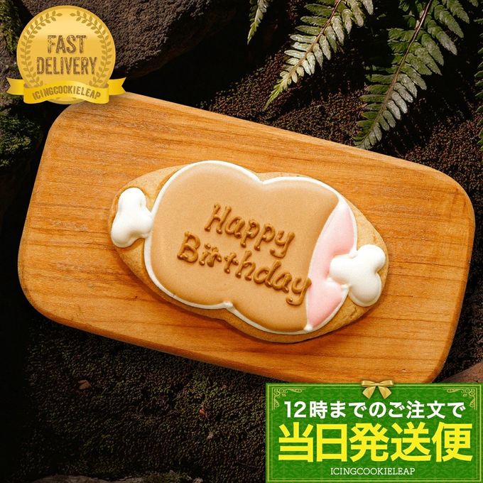 当日発送便【肉プレート】恐竜シリーズ アイシングクッキー クッキー デコレーションケーキ オリジナルケーキ 誕生日  1
