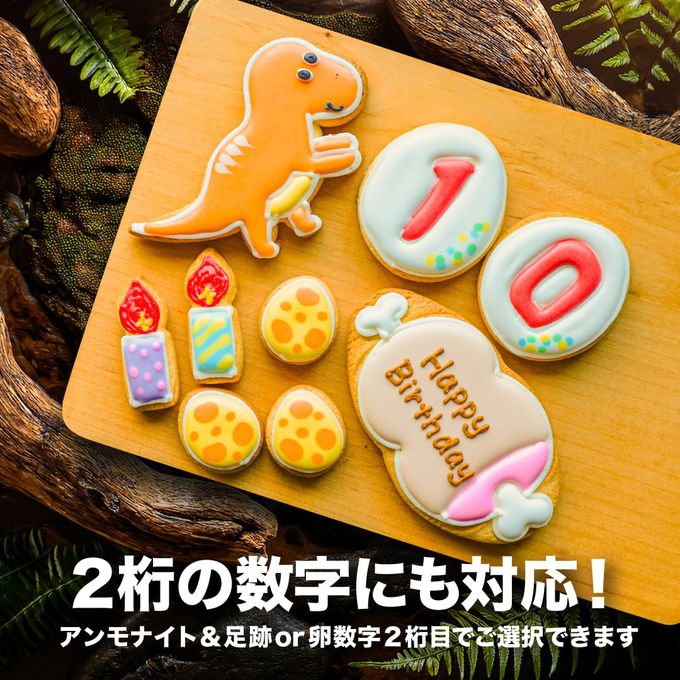 【Cake.jp専用：恐竜ギフトB】アイシングクッキー クッキー 恐竜 デコレーション 誕生日 アイシングクッキー クッキー 恐竜 肉 卵 ケーキデコレーション 男の子 誕生日 ケーキトッピング ギフト かわいい お菓子 2