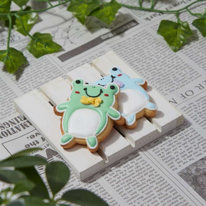 【カエル】アイシングクッキー クッキー プチギフト デコレーション かわいい お菓子 個包装 動物 どうぶつ 生き物 1