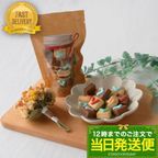 【当日発送便：ミニアイシングクッキー 袋】アイシングクッキー クッキー ひとくちサイズ プチギフト おやつ お茶菓子 かわいい お菓子 1