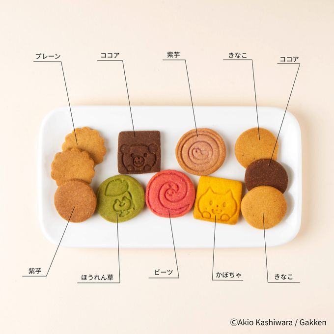 『しましまぐるぐる』クッキー缶 穴あきシート付 2