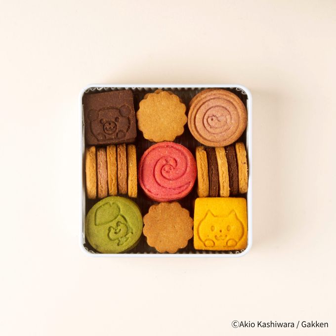 《絵本セット》『しましまぐるぐる』クッキー缶 穴あきシート付 5