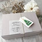 《季節限定》米粉と麹の発酵クッキーmini -Hygge Noel Box-大（2025クリスマス） 2