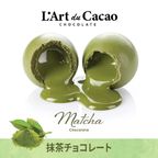 【期間限定・大特価】L’Art du Cacao（ラール・デュ・カカオ）プレミアムチョコレート 詰め合わせ40個入り（ランダム） 8