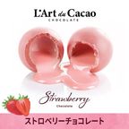 【期間限定・大特価】L’Art du Cacao（ラール・デュ・カカオ）プレミアムチョコレート 詰め合わせ40個入り（ランダム） 7