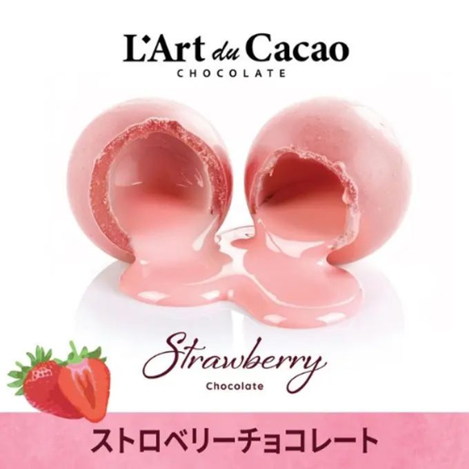 【期間限定・大特価】L’Art du Cacao（ラール・デュ・カカオ）プレミアムチョコレート 詰め合わせ40個入り（ランダム） 7