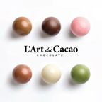 【期間限定・大特価】L’Art du Cacao（ラール・デュ・カカオ）プレミアムチョコレート 詰め合わせ40個入り（ランダム） 2