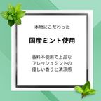 とろける美味しさ チョコミン党に捧ぐ チョコミントカタラーナ 18cm 3