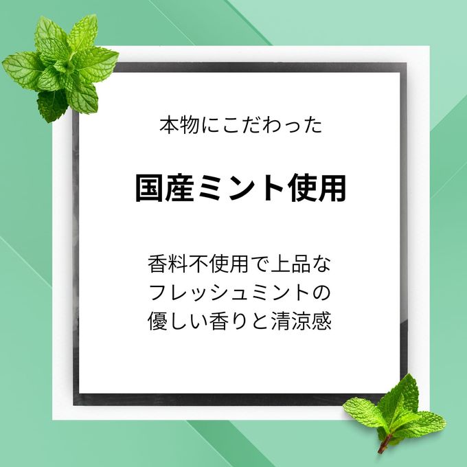 とろける美味しさ チョコミン党に捧ぐ チョコミントカタラーナ 18cm 3