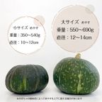 坊ちゃんかぼちゃ の まるごと かぼちゃ プリン 小サイズ 1個 ハロウィン2025 6