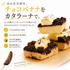 チョコ バナナ カタラーナ アイスプリン 冷凍スイーツ お取り寄せスイーツ 5
