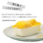 杏仁 カタラーナ マンゴー キウイ 16cm 2
