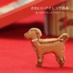 犬 クッキー缶 詰め合わせ 2