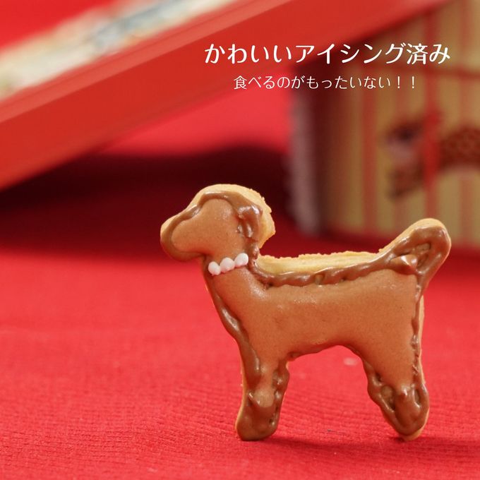 犬 クッキー缶 詰め合わせ 2
