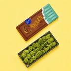 可愛いチョコレート缶入り ピーカンナッツチョコレート 抹茶 みどり缶 6