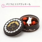 ねこ クッキー缶 2缶セット 4