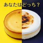 チーズケーキ ダブルチーズケーキ 4号 2