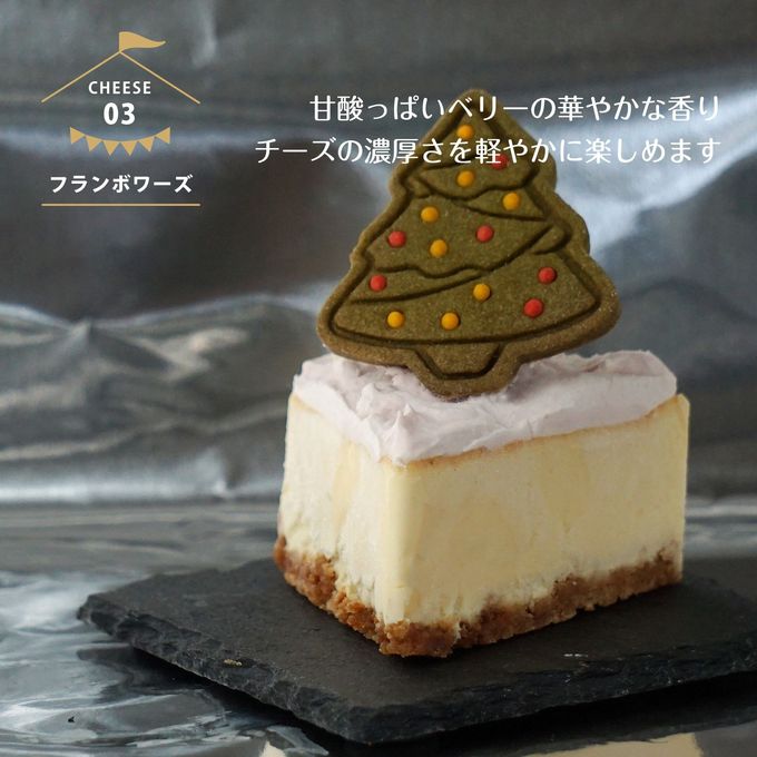クリスマスケーキ チーズケーキ 3カット 濃厚チーズ クリスマス2025 5