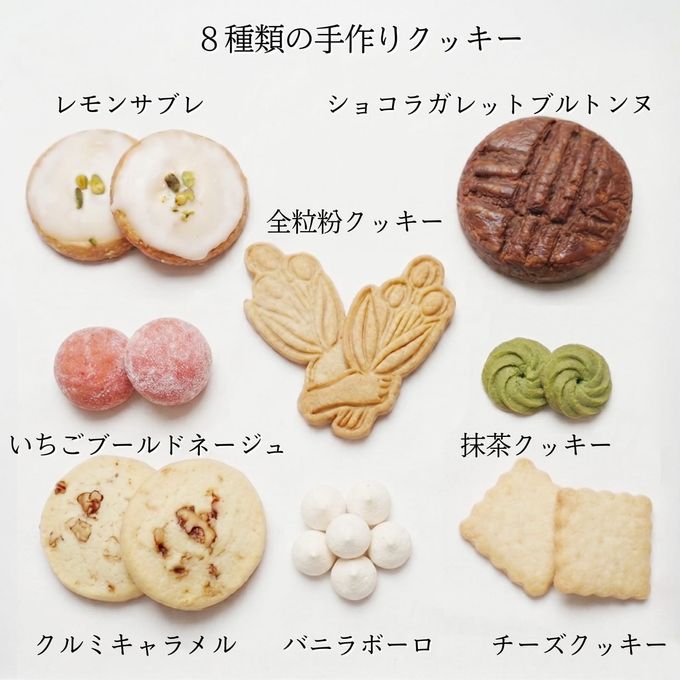 クッキー缶詰め合わせ 春 8種類入 母の日2026  5