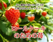 いちご がこぼれ落ちるほど入ったロールケーキ 4