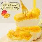 杏仁 カタラーナ マンゴー キウイ 16cm 3