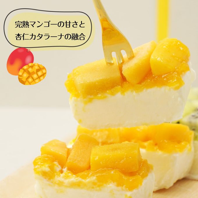 杏仁 カタラーナ マンゴー キウイ 16cm 3