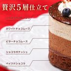 5層のくちどけ 贅沢チョコレートケーキ 3号 3