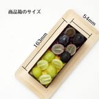 1本で2度おいしい シャインマスカット＆ナガノパープル カタラーナ 16cm 9