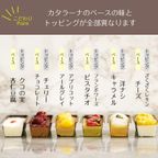 全18種類 3箱セット スリーブ箱付き カタラーナ プリン 6