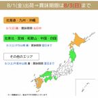 いちご がこぼれ落ちるほど入ったロールケーキ 3