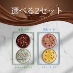 【送料無料、メール便】お配り用 チョコ ねこ ひつじ マンディアン  ビター ホワイト バレンタイン 2026 2