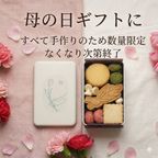 クッキー缶詰め合わせ 春 6種類入 9