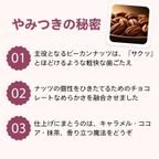 可愛いチョコレート缶入り ピーカンナッツチョコレート 3缶セット  3